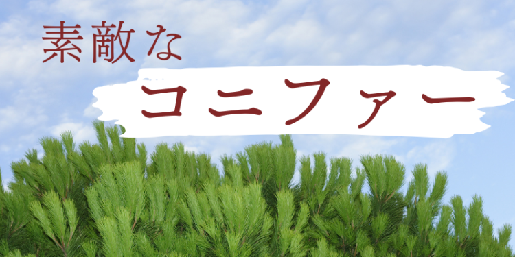 ていねいなくらし